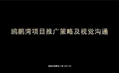 2021瞰江大平层提案方案【pdf】