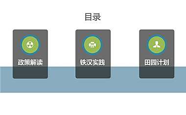 ppp浪潮下的田园综合体开发模式探索100p【pdf】