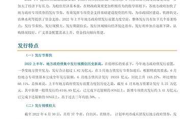 2022 年上半年地方政府债发行报告【pdf】