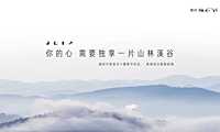 融创由心谷价值手册方案.pdf
