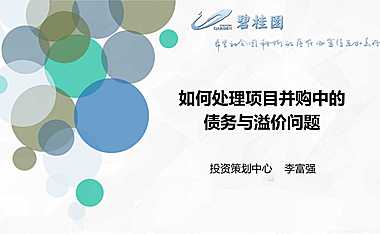 碧桂园 如何处理项目并购中的债务与溢价问题【pdf】