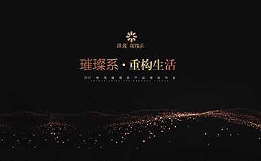世贸璀璨系产品发布会讲解PPT【pdf】