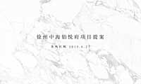 红鹤集团-徐州中海铂悦府整合推广提报别墅 新中式.pdf