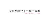 保利品牌双十二推广方案【pptx】