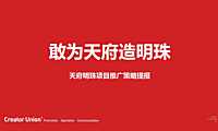 2021天府明珠推广策略方案【pdf】
