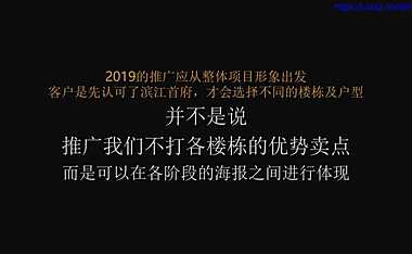 滨江首府度推广纲要【pdf】