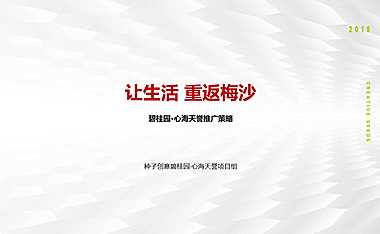 深圳碧桂园心海天誉策略案【pdf】