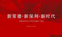 2021保利价值体系构建传播方案【pdf】