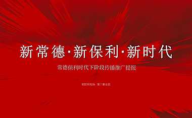 2021保利价值体系构建传播方案【pdf】