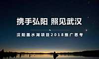 弘阳名流汉阳项目年度推广提报-武汉第一生产力【pdf】