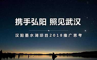 弘阳名流汉阳项目年度推广提报-武汉第一生产力【pdf】