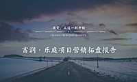 中原深圳富润乐庭营销拓盘报告【pdf】