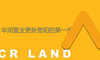 2022华润品牌传播策略案186页【pdf】