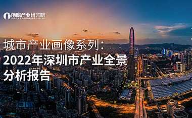 2022年深圳市产业全景分析报告【pdf】