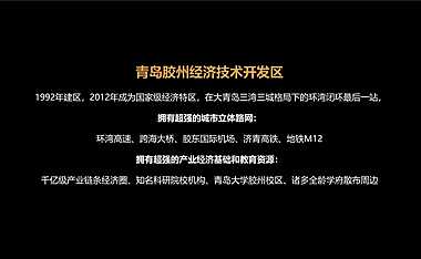 文澜府年度广告推广策略方案【pdf】