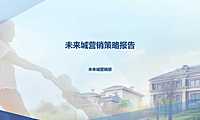 天津未来城营销策略方案【pptx】