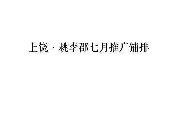 2021桃李郡7月推广铺排方案【pdf】