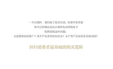 中洲云悦府及云睿府双盘传播方案【pdf】