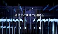 碧桂园产品发布会活动策划方案【pdf】
