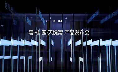 碧桂园产品发布会活动策划方案【pdf】