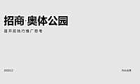 2021风尚创意-合肥招商·奥体公园推广执行案