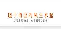 广州绿城晓风印月推广方案  别墅 大平层146p【pdf】