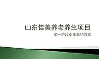 养老养生项目小庄营销方案