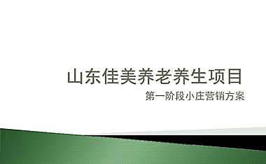 养老养生项目小庄营销方案