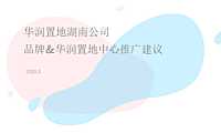华润湖南品牌推广竞标方案【pdf】