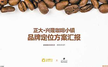 2022深圳道里正大咖啡小镇品牌定位推广【pdf】