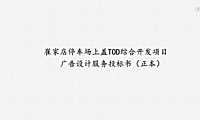 2021年TOD主城芯项目广告推广提报方案【pdf】