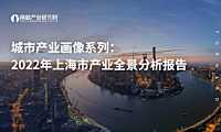 城市产业画像系列：2022年上海市产业全景分析报告-前瞻产业研究院-2022-110页
