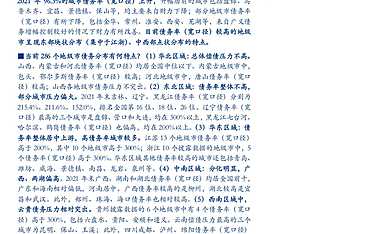 全国286个地级市债务全景(2022版）【pdf】