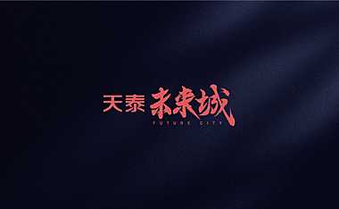天泰未来城视觉提报方案.pdf