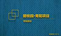 碧桂园安徽青阳项目营销提报71p.pdf