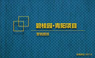 碧桂园安徽青阳项目营销提报71p.pdf