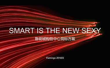 红鹤沟通-鲁能城购物中心时尚光商业提报方案（234P）【pptx】
