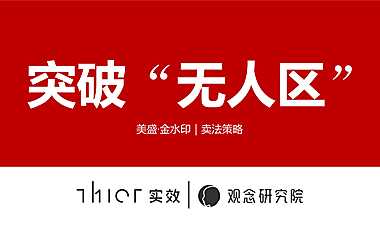 2021金水印卖法策略方案【pdf】