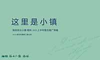 2021海信依云小镇上半年推广策略【pdf】