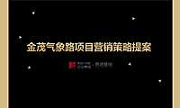 宁波金茂气象路项目营销策略提案