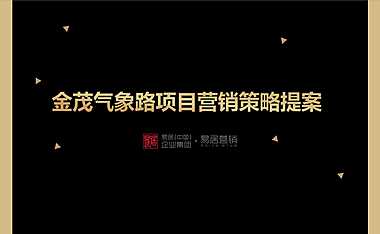 宁波金茂气象路项目营销策略提案